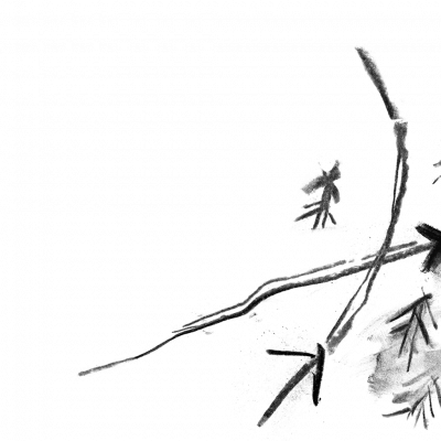 ZakopanyZitrek mysteriousMap1 ui.png