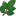 Herb elderberry icon.png