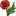 Herb poppy icon.png