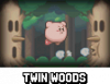 KSSU Twin Woods Arena Icon.png