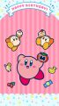 2018 happybirthday Kirby 750 1334.jpg