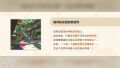 体验版 fl6.jpg