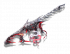 武器外观图鉴 10502206.png