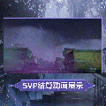 珐格兰丝时装暗夜颂者SVP结算.gif