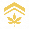 千代技能2.png