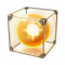 道具图标 40005.png