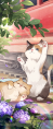 基板 31001212.png