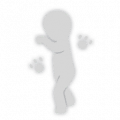 超弦体动作图标 21101101.png
