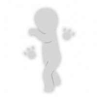 超弦体动作图标 21101101.png