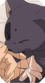 竖图-【流浪猫】亚瑟.png