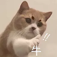 猫表情包.png