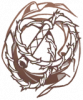 职业 星灵衣之主.png
