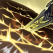 技能 袭光裂斩.png