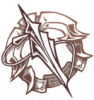 职业 守护之蕾.png