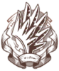 圣天马将军.png