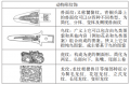 2022年9月16日 (五) 13:24版本的缩略图