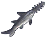 锯鲨.png