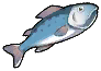 蓝鲈鱼.png
