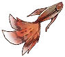 红尾鱼.png