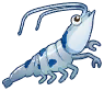 蓝晶虾.png