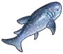 斑点鲨.png
