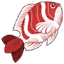 红纹鱼.png