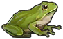 青蛙.png