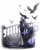 凡妮.png