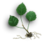 Aspen sprout.png
