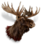 Big moose head.png