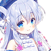 ［亲情的象征］百可花正面照.png