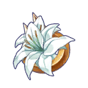 玛托依的花饰.png