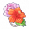 菲奥娜的扶桑花.png