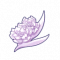 维纳斯的头饰.png