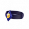 阳彩的项链.png