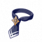 安朱的领带.png