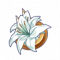 玛托依的花饰.png