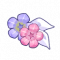 莉亚的缅栀子.png