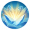 技能 捡到宝啦！.png