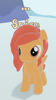 Spice Filly.PNG.png