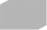 双貌的奥兹.png