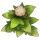 药草.png