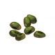 植物种子.png