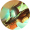 倏忽.png