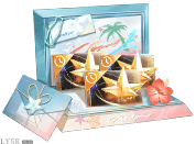 捕获盛夏礼·四.png