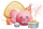 鱼团团.png