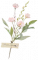 蔷薇.png