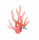 斑斓珊瑚.png