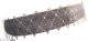 服饰-缚神.png