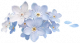 星辰花.png